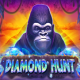 Diamond Hunt